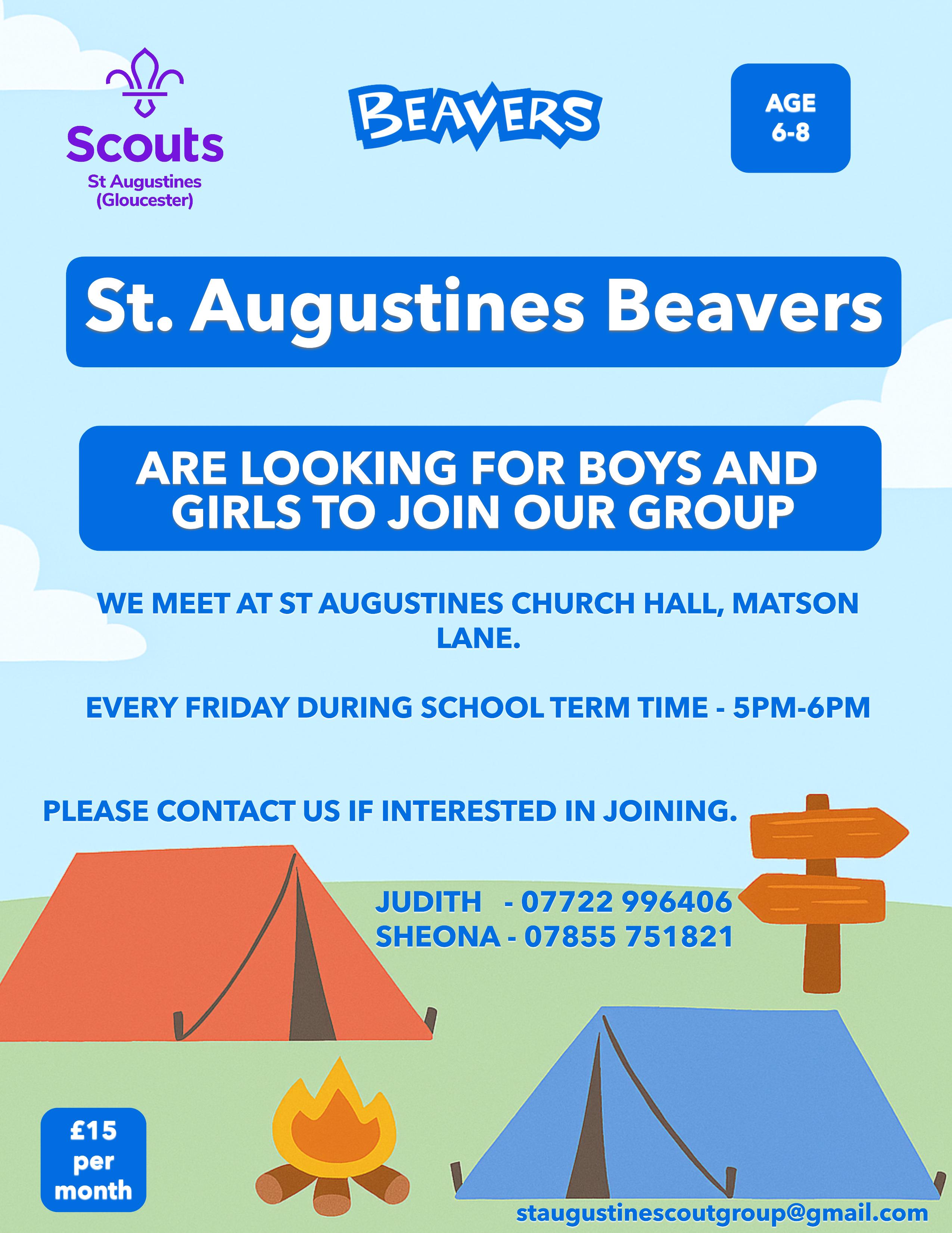 Beavers Poster Details